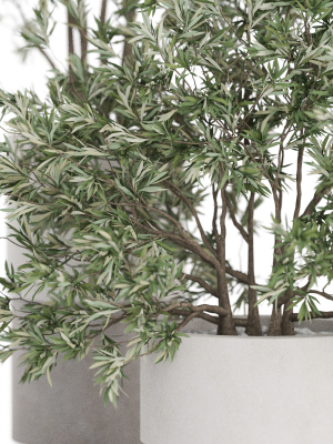 plants-collection-912-3d-model-ad1acf6d5e