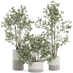 Plants collection 912