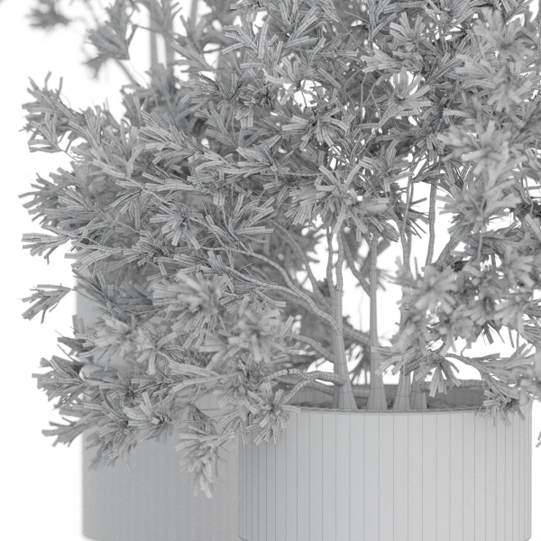 Plants collection 912