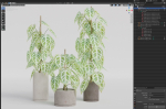 Plants collection 914