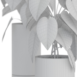 Plants collection 914
