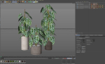 Plants collection 914