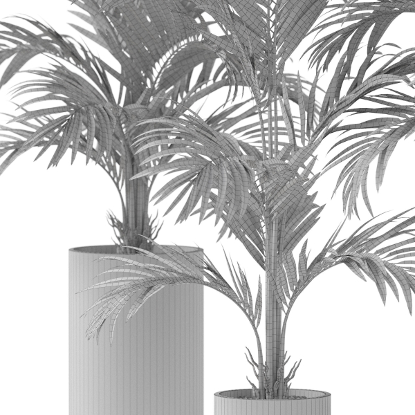 Plants collection 918