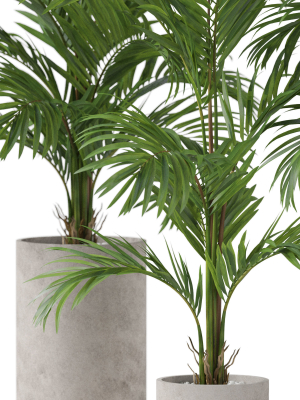 plants-collection-918-3d-model-55cd929b43