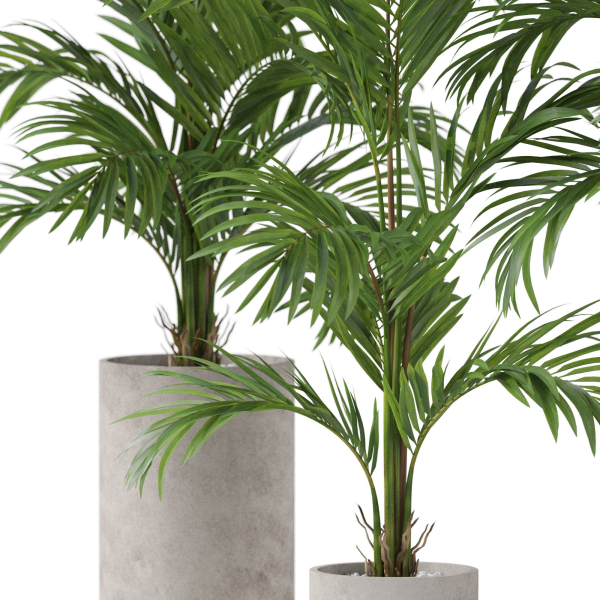 Plants collection 918