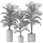 Plants collection 918