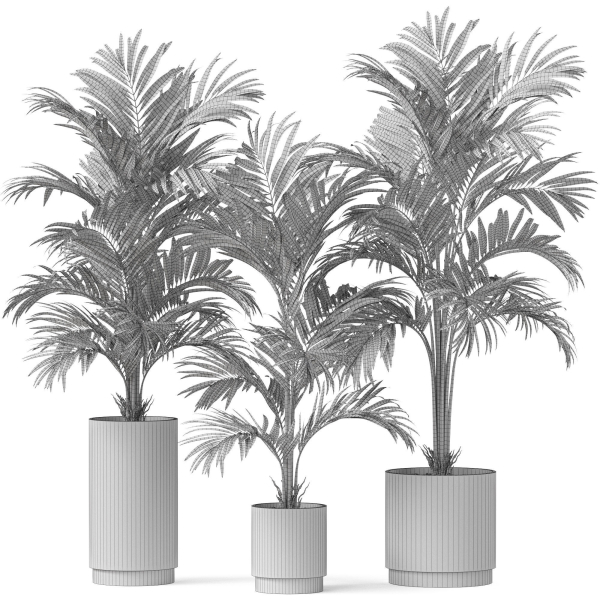 Plants collection 918