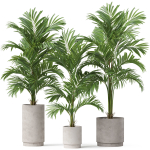 Plants collection 918
