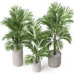 Plants collection 918