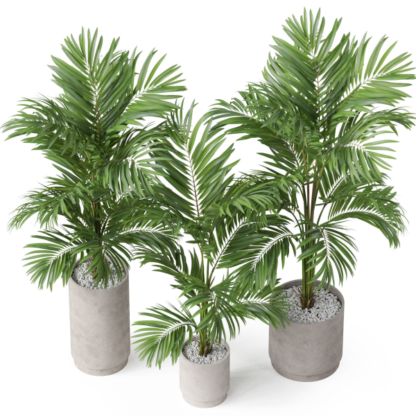 Plants collection 918