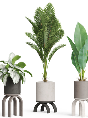 plants-collection-920-3d-model-013aac4a0e