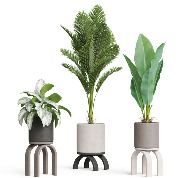 Plants collection 920
