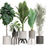 Plants collection 920