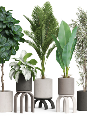 Plants collection 920