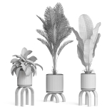 Plants collection 920