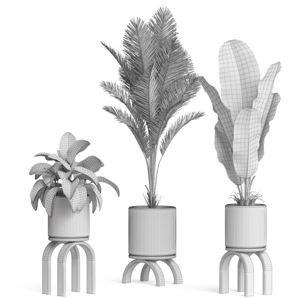 Plants collection 920
