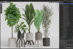 Plants collection 920