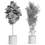 Plants collection 920