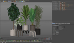 Plants collection 920