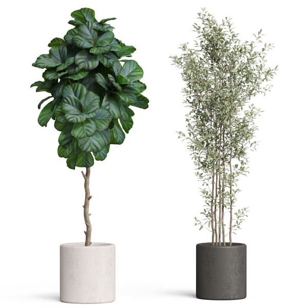 Plants collection 920