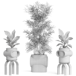Plants collection 921