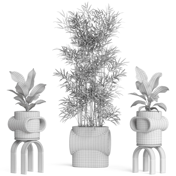 Plants collection 921