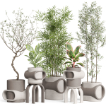Plants collection 921