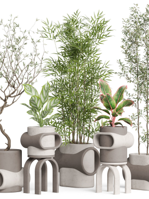 Plants collection 921