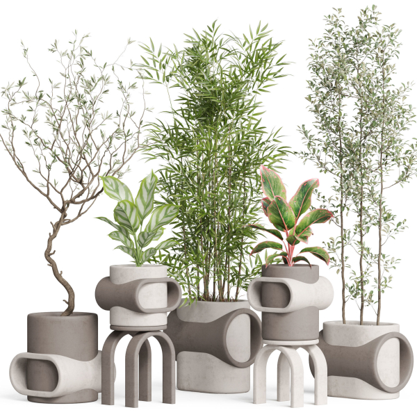 Plants collection 921
