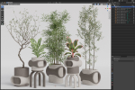 Plants collection 921