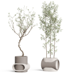 Plants collection 921