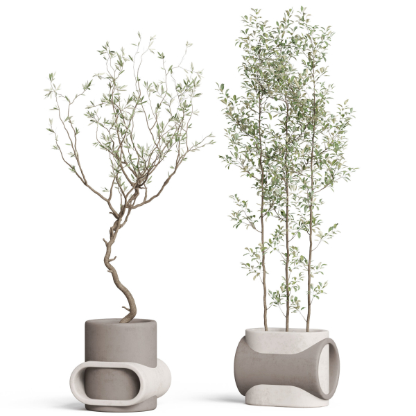Plants collection 921