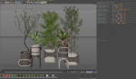 Plants collection 921