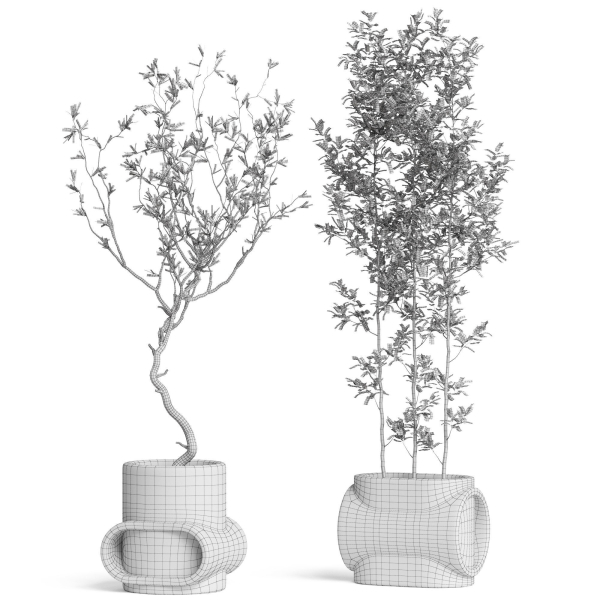 Plants collection 921