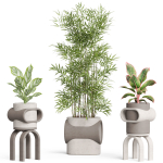 Plants collection 921