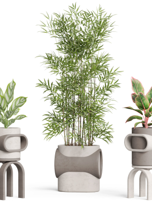 plants-collection-921-3d-model-d9666f5246