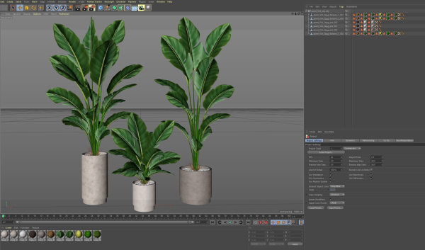 Plants collection 924