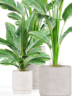 plants-collection-924-3d-model-6f5ede5bee