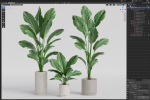 Plants collection 924