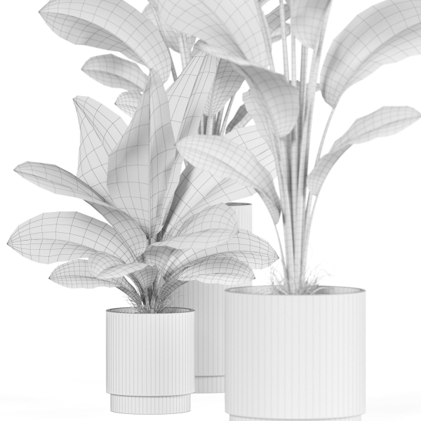 Plants collection 924