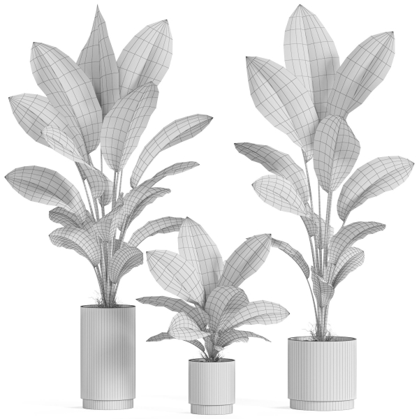 Plants collection 924