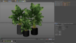 Plants collection 929