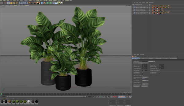Plants collection 929
