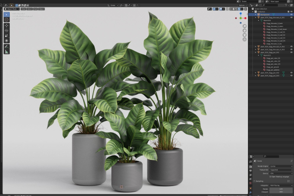 Plants collection 929