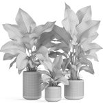 Plants collection 929