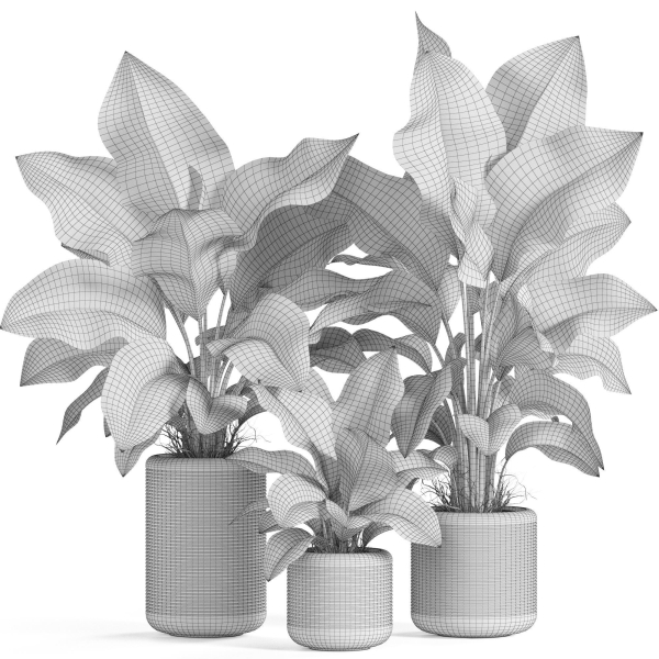 Plants collection 929