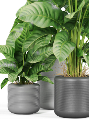 plants-collection-929-3d-model-f698a58adf