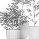 Plants collection 931