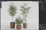 Plants collection 931
