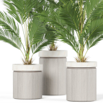 Plants collection 939